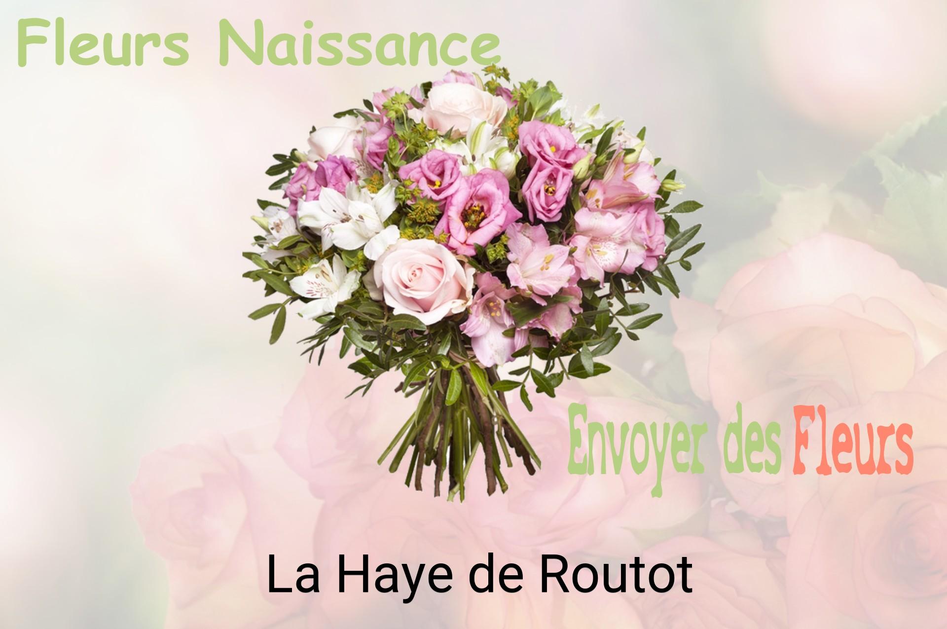 Bouquet de fleurs de naissance livré à La Haye-de-Routot